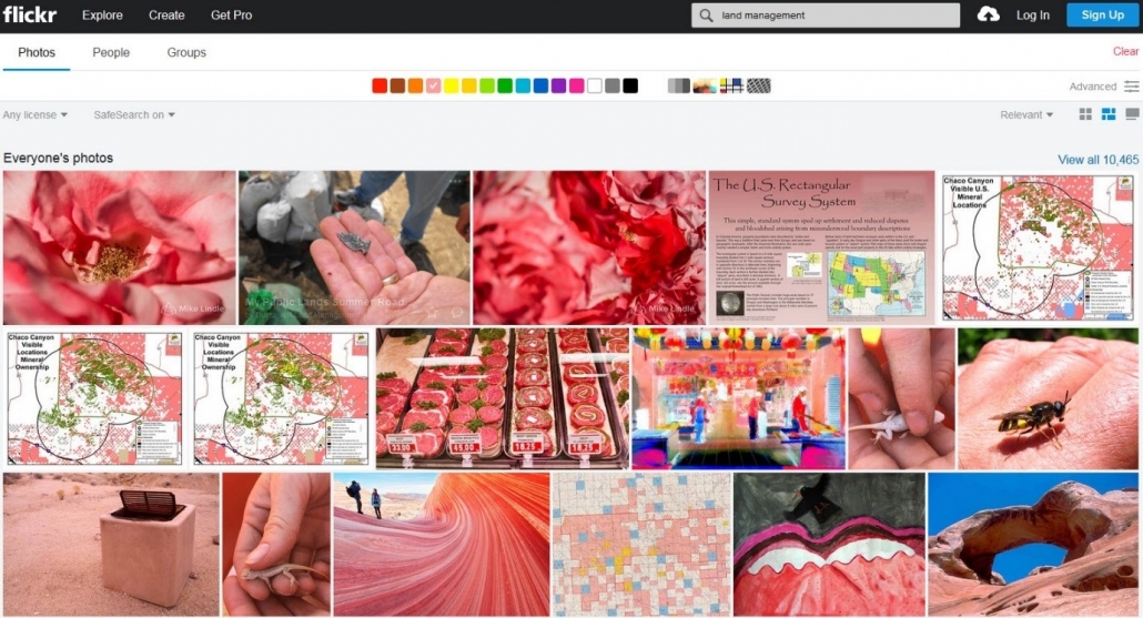 Screenshot of 17 pink thumbnail images on Flickr